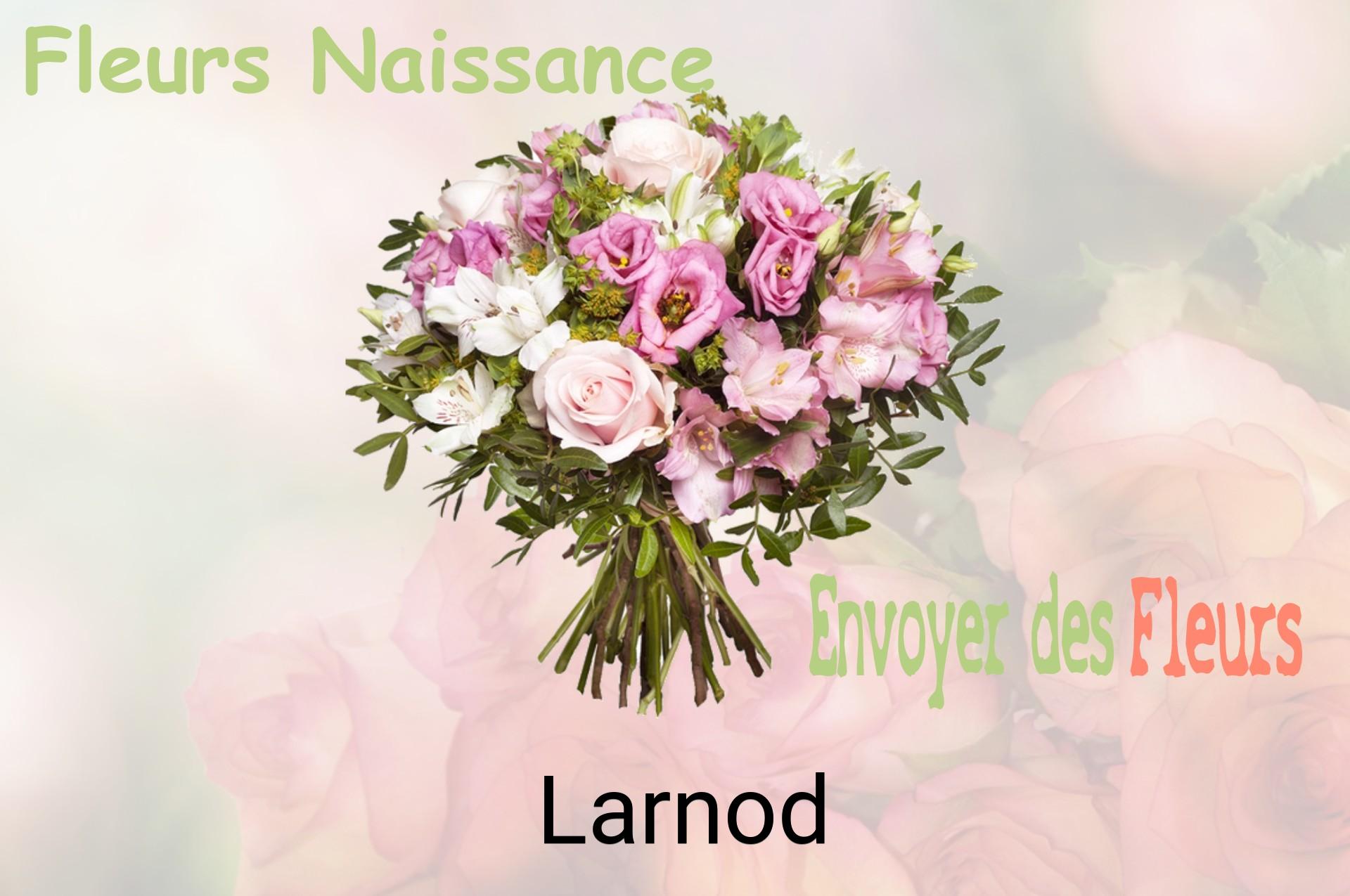 Bouquet de fleurs de naissance livré à Larnod
