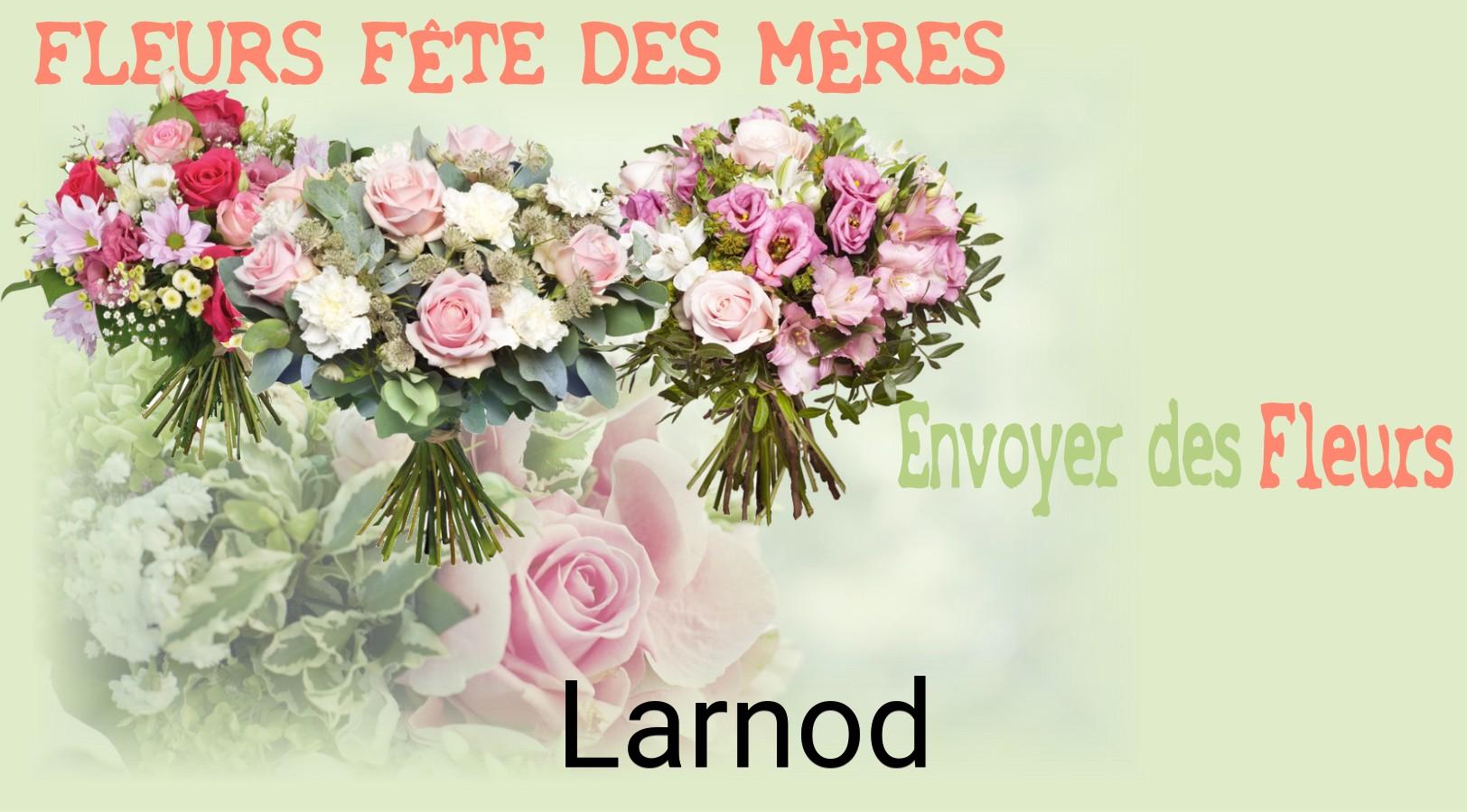 Bouquet de Fête des Mères livré à Larnod